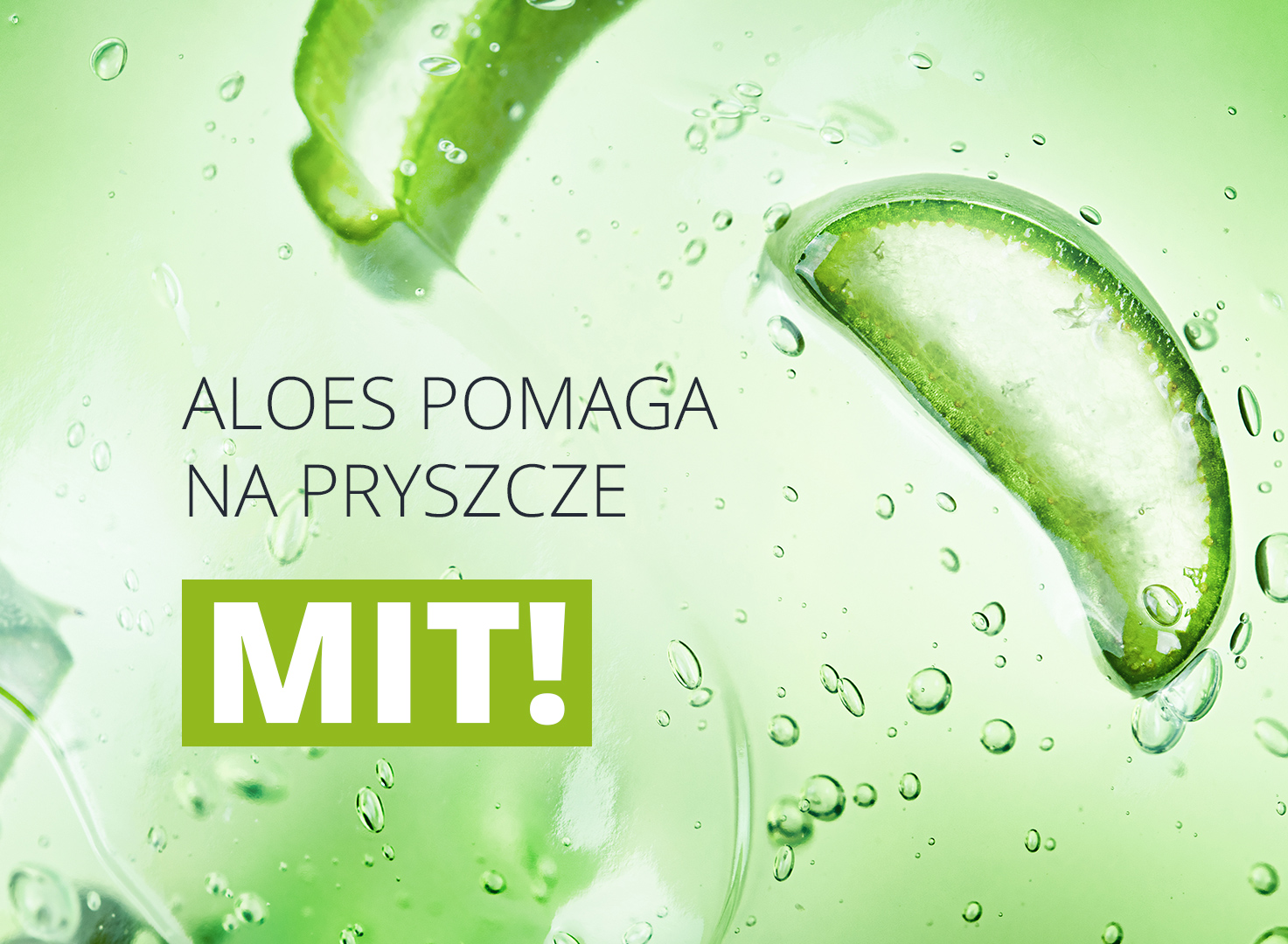 #HejSebium! Hit czy mit? #6 Aloes pomaga na pryszcze